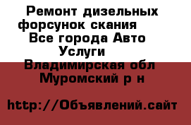 Ремонт дизельных форсунок скания HPI - Все города Авто » Услуги   . Владимирская обл.,Муромский р-н